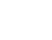 logo st